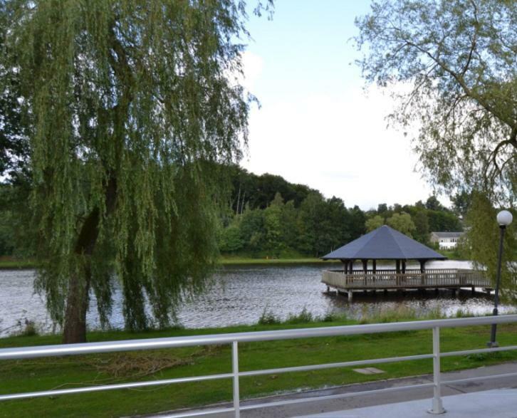 La Terrasse Du Lac ヴィエルサルム エクステリア 写真